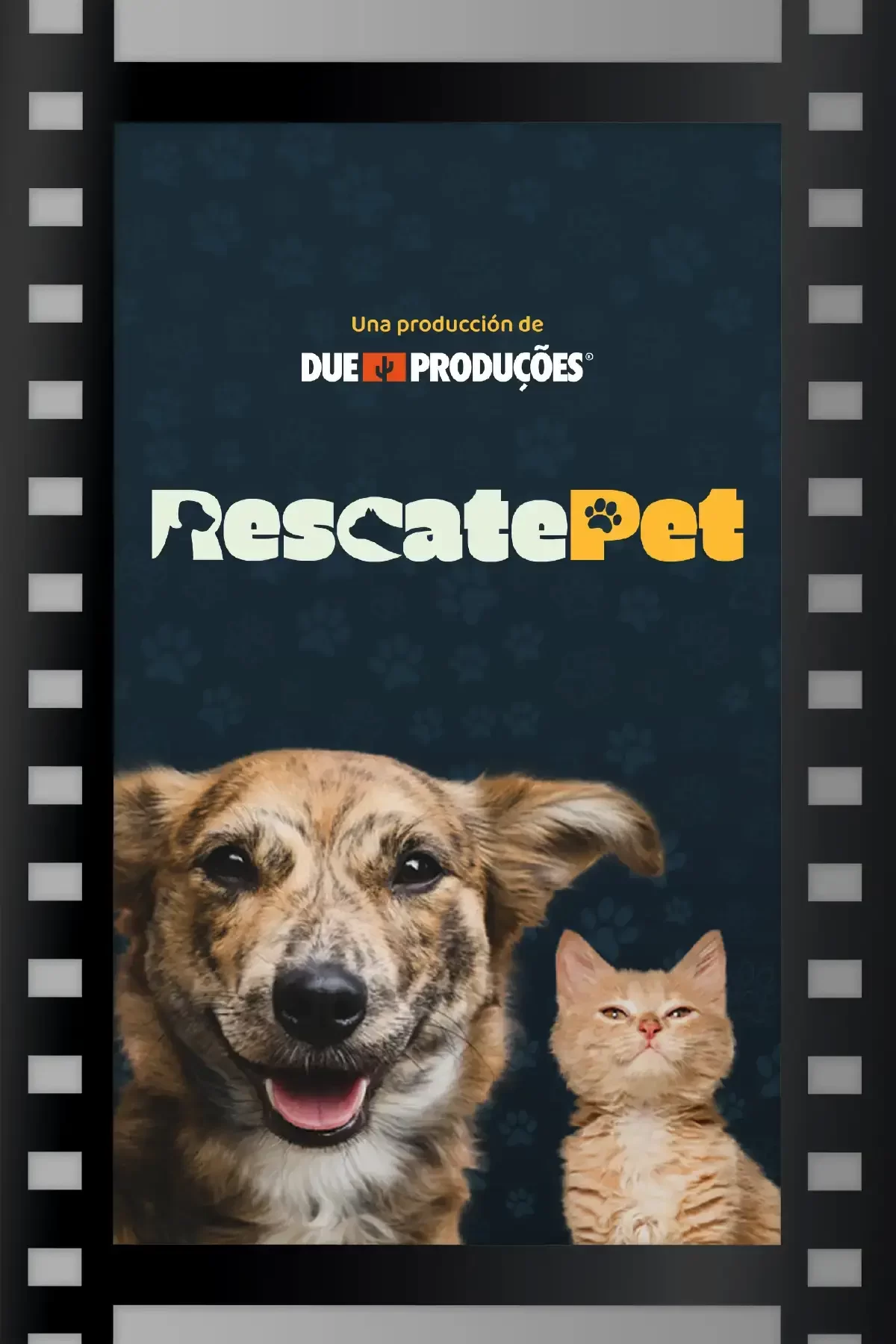 rescate_pet